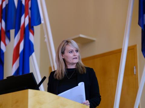 Íslensk forysta albjóõadómstóla: Reynsla, áskoranir og framtíðarsýn